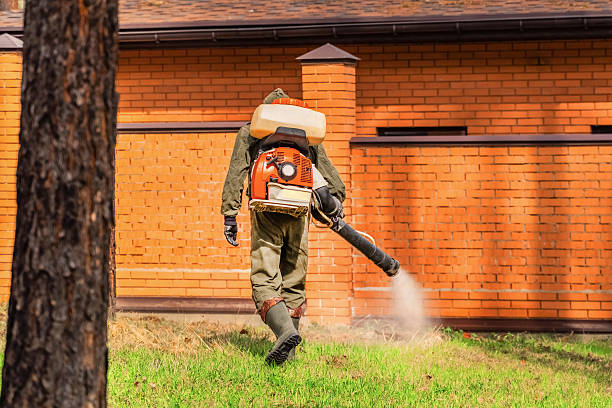 Trusted Rodent Control service in Pioneer, CA - Nex Pest Control